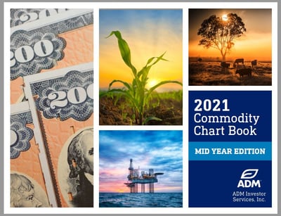 Mid Year ChartBook 2021